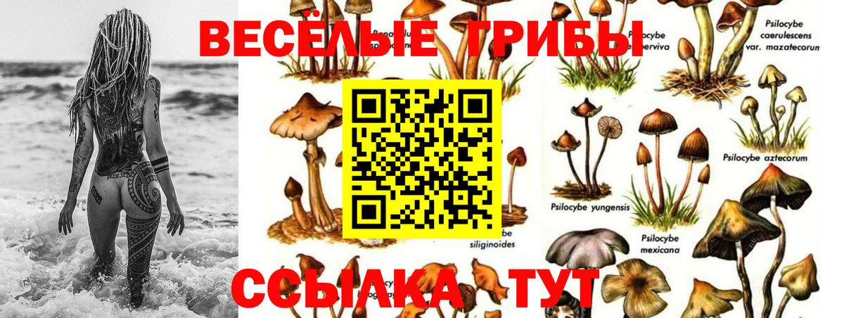 Лобня  Псилоцибиновые грибы Magic Shrooms  Псилоцибиновые грибы GOLDEN TEACHER  Вход с VPN 