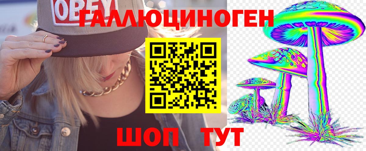 Псилоцибиновые грибы прущие грибы Лобня